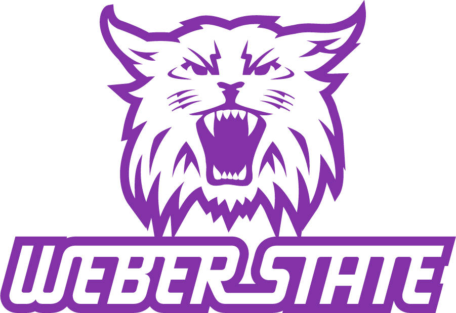 Weber State Wildcats 2008-2012 Secondary Logo v3 diy iron on heat transfer